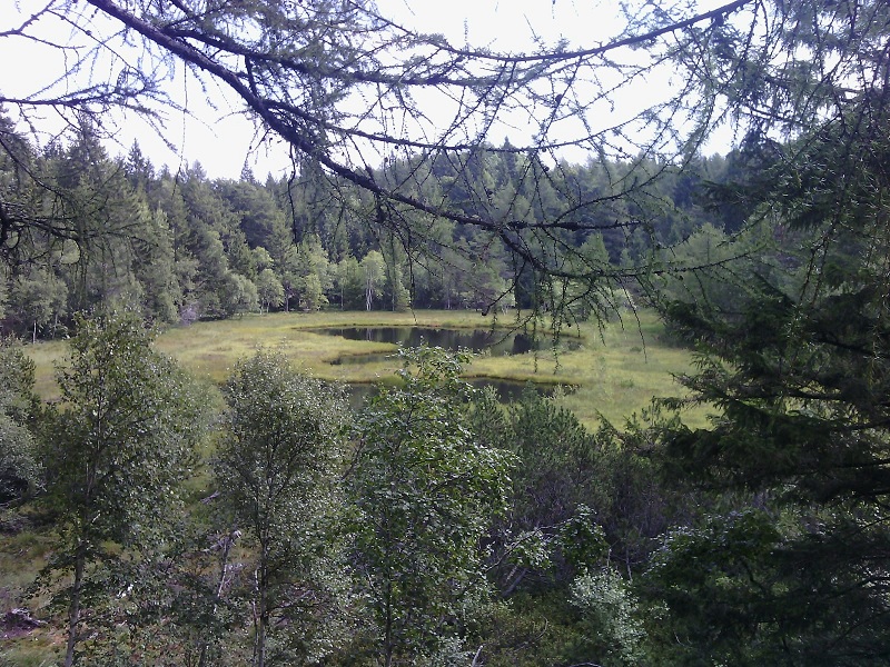 biotopo lago di vedes valda